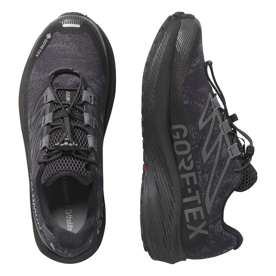 AERO FLOW GRVL GORE-TEX [ SALOMON / ������� ] L49256300
