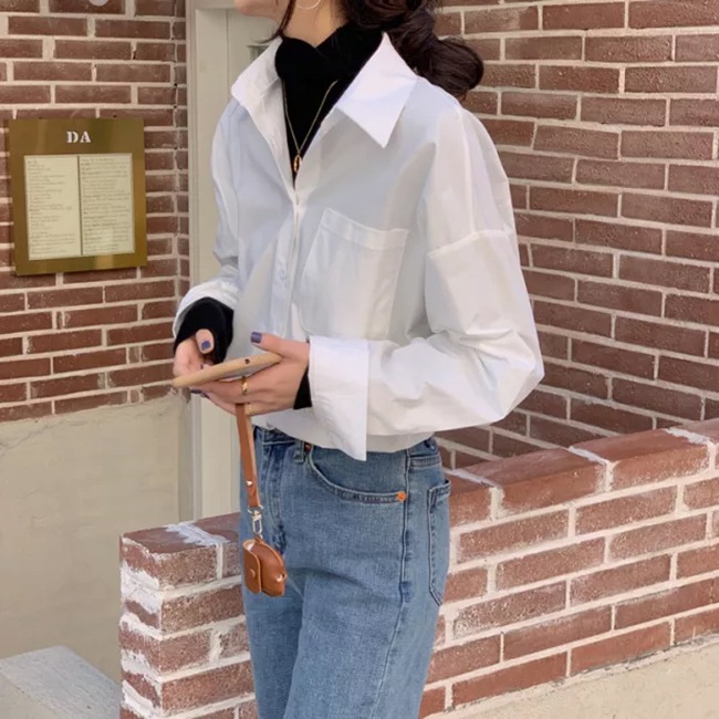 �����С������� �쥮��顼���顼 �����  [ SHP341-1 ] SVEC / ����٥å�