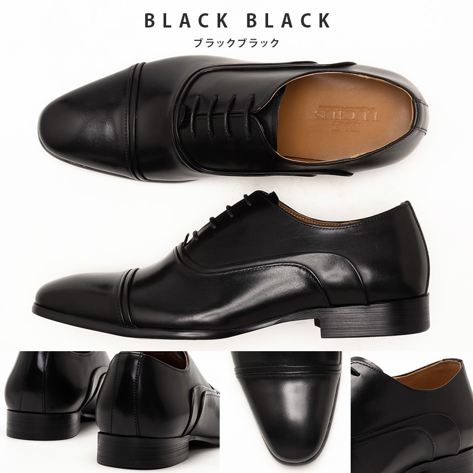 �졼�����åץ��塼�� [ LLT473-1 ] LUCIUS / �륷����