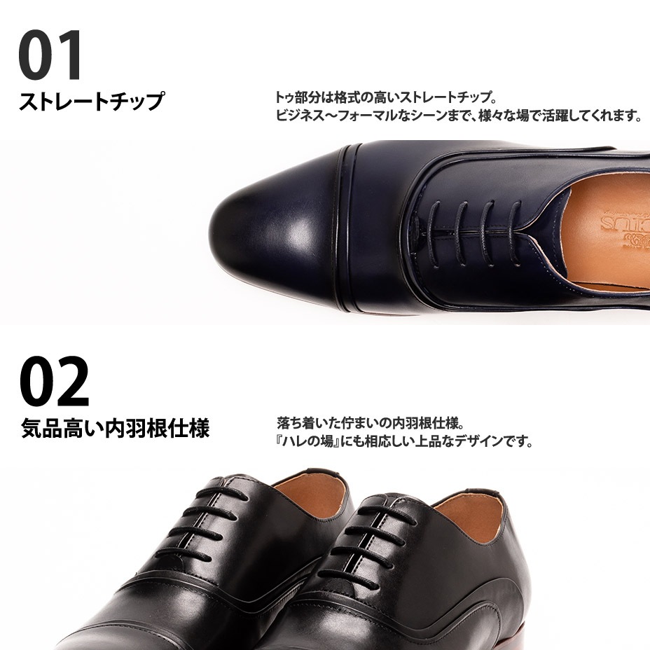 �졼�����åץ��塼�� [ LLT473-1 ] LUCIUS / �륷����