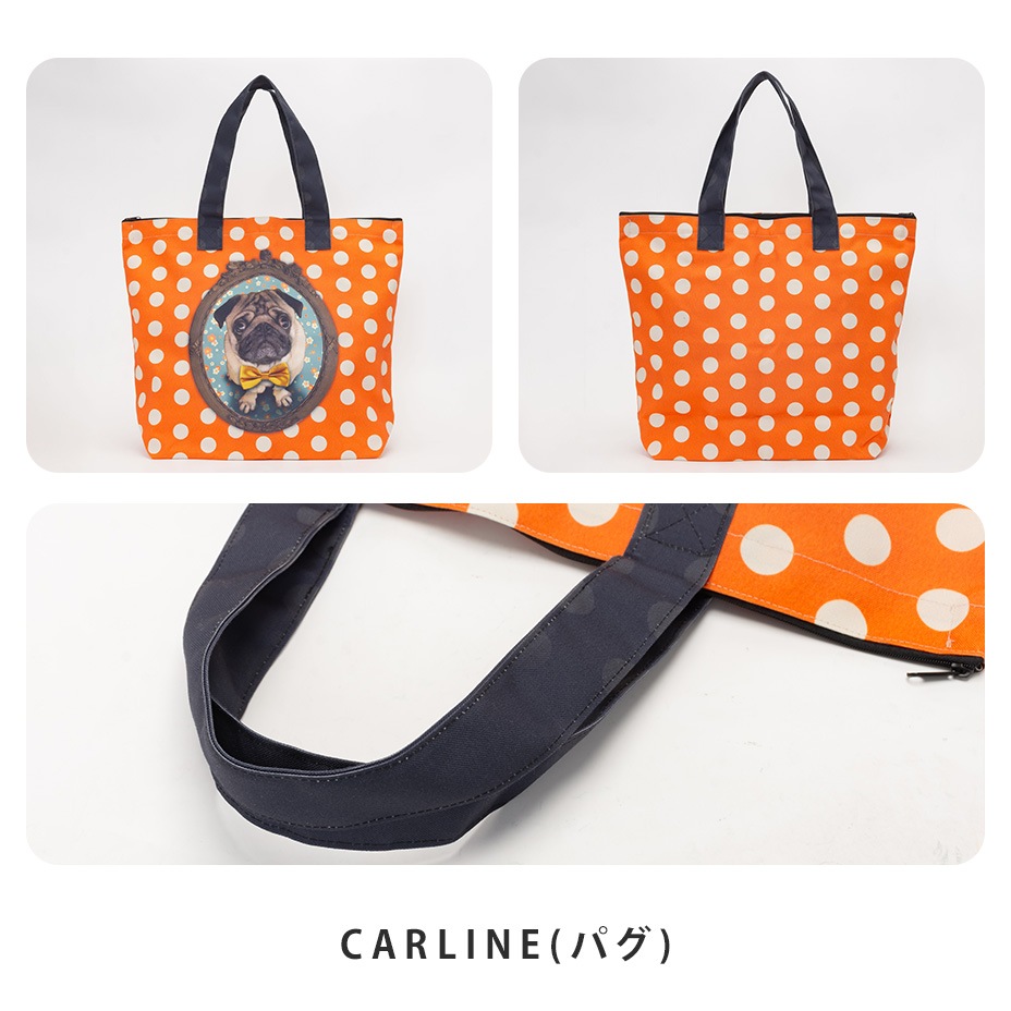 �顼���ȡ��ȥХå������åץȥå� [ LUCIE DANCETTE / ��奷�������󥻥å� ] LTJ