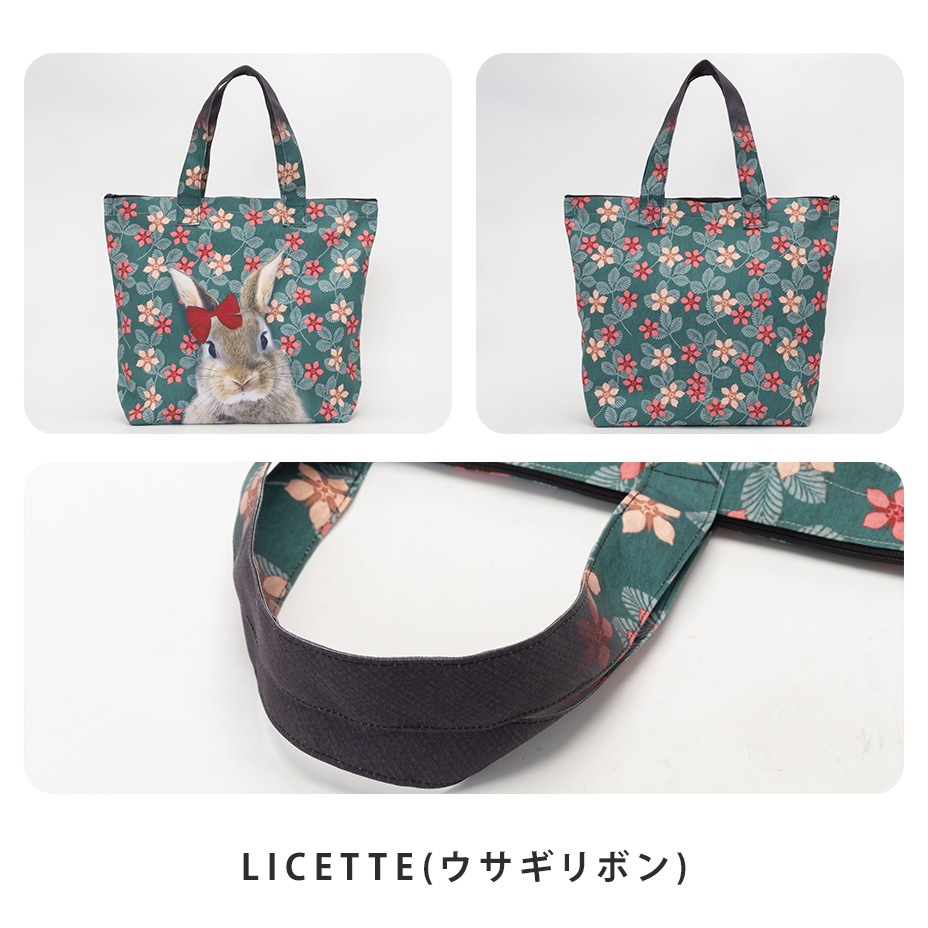 �顼���ȡ��ȥХå������åץȥå� [ LUCIE DANCETTE / ��奷�������󥻥å� ] LTJ