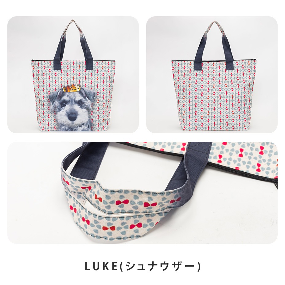 �顼���ȡ��ȥХå������åץȥå� [ LUCIE DANCETTE / ��奷�������󥻥å� ] LTJ