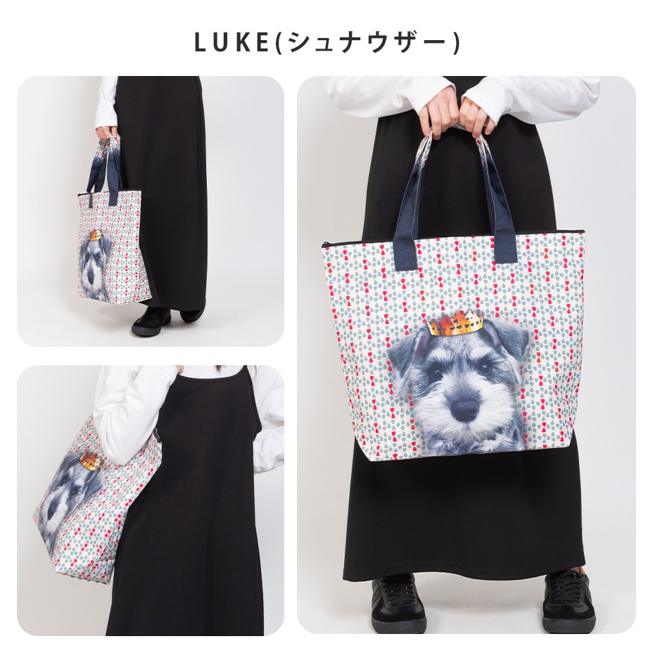 �顼���ȡ��ȥХå������åץȥå� [ LUCIE DANCETTE / ��奷�������󥻥å� ] LTJ