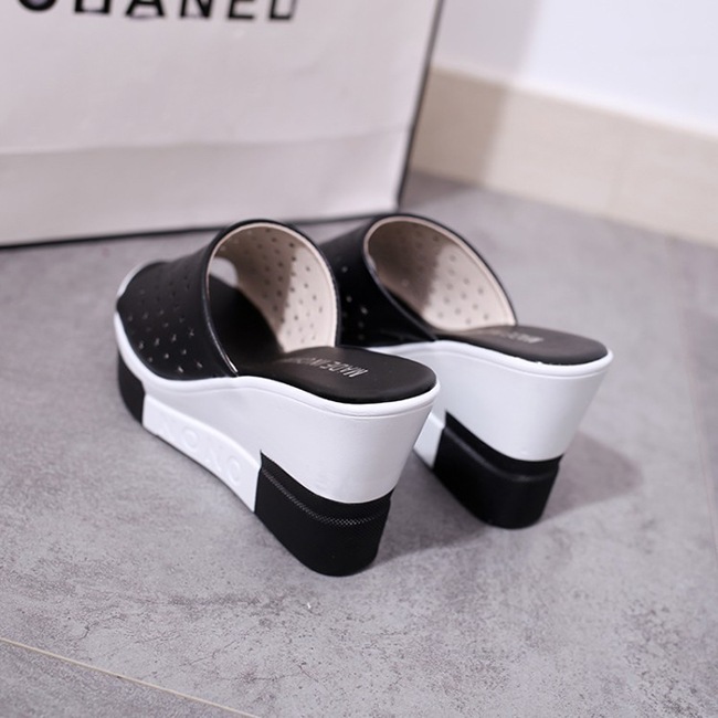 ���� �����å������륵����� ��ǥ����� [ BHPD001-7 ]