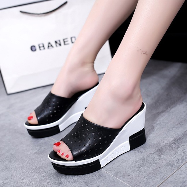 ���� �����å������륵����� ��ǥ����� [ BHPD001-7 ]