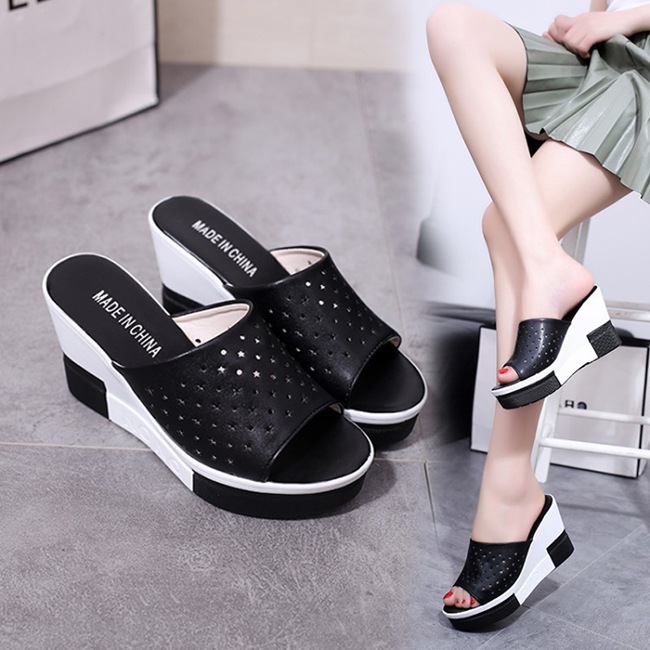 ���� �����å������륵����� ��ǥ����� [ BHPD001-7 ]