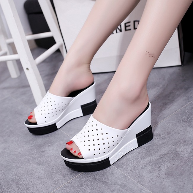 ���� �����å������륵����� ��ǥ����� [ BHPD001-7 ]