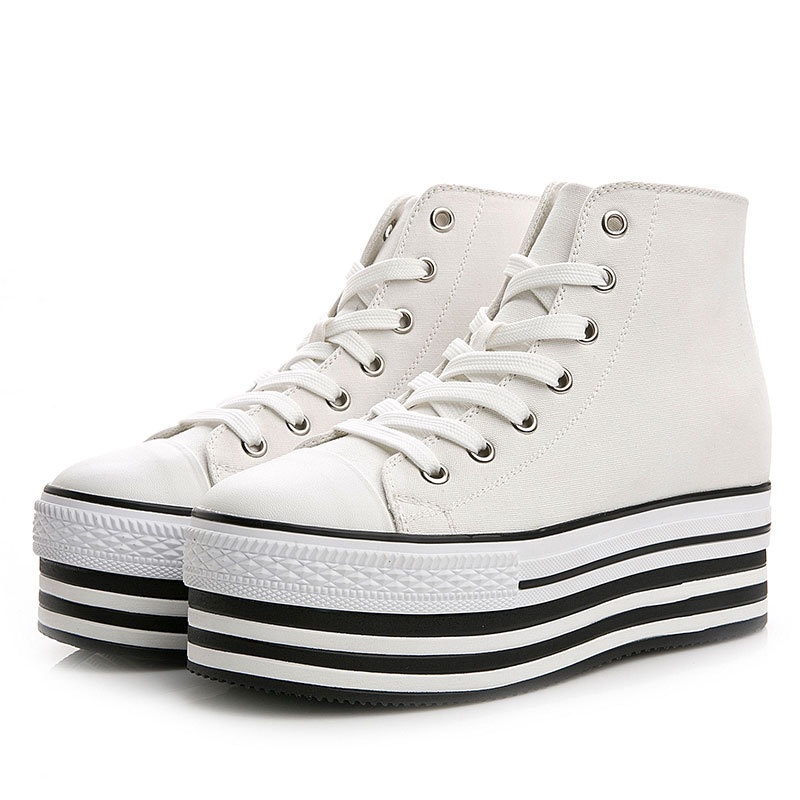 ҡ  ˡ ǥ [ NXL0461 ]