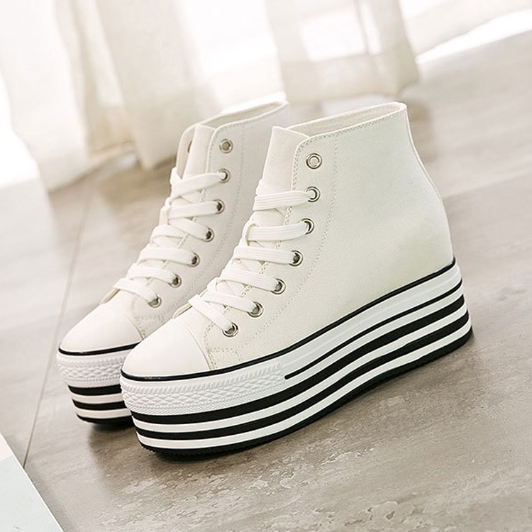 ҡ  ˡ ǥ [ NXL0461 ]