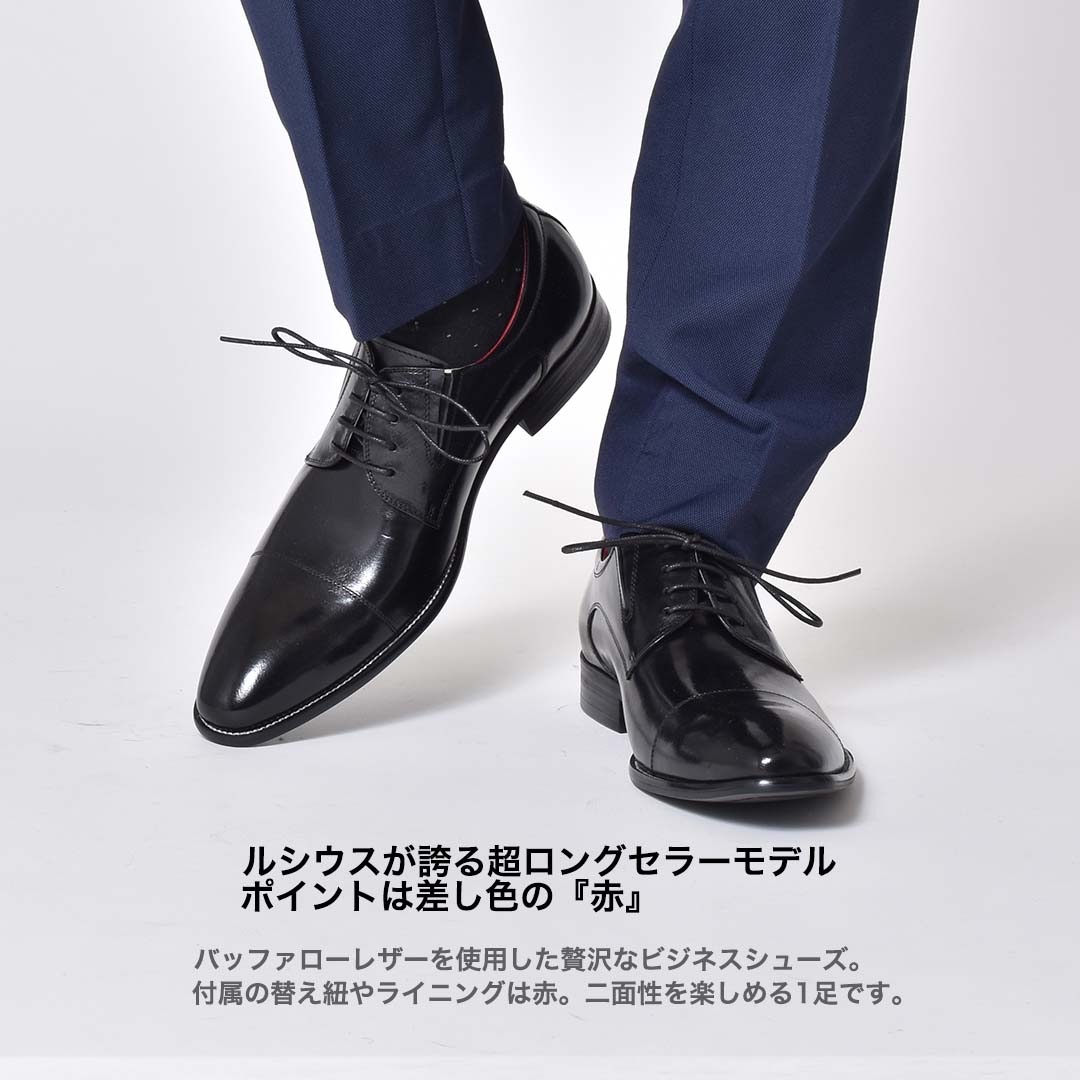 �쥶�� �������졼�����åץ��塼�� [ 109-88 ] LUCIUS / �륷����