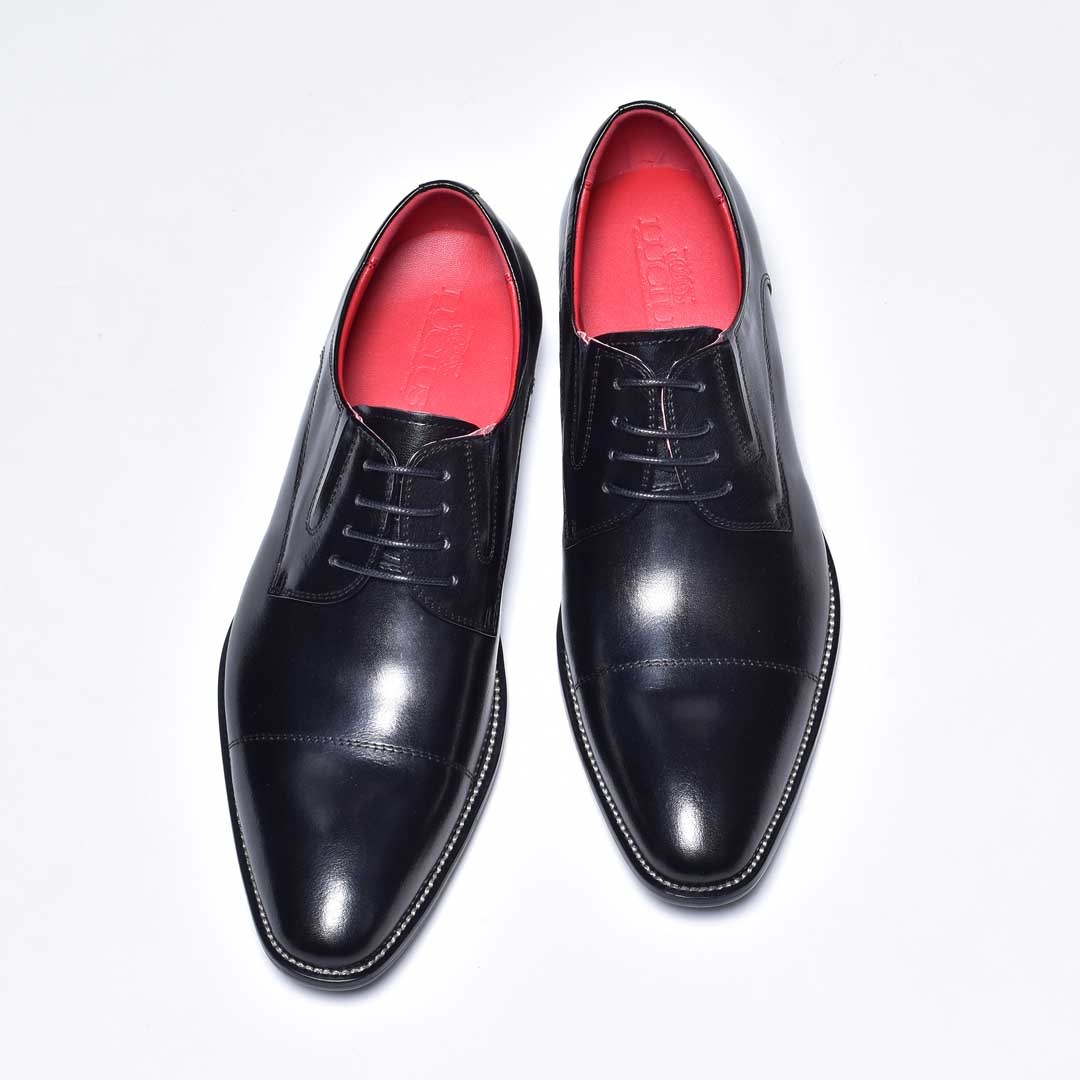 �쥶�� �������졼�����åץ��塼�� [ 109-88 ] LUCIUS / �륷����