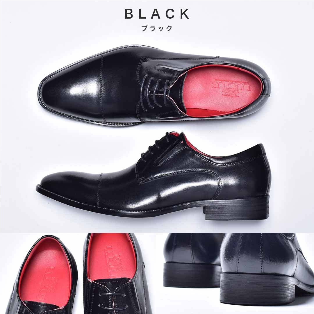 �쥶�� �������졼�����åץ��塼�� [ 109-88 ] LUCIUS / �륷����