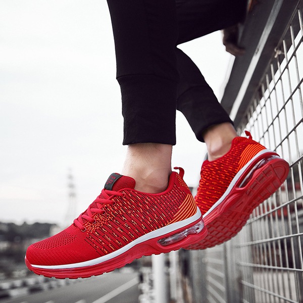 ���������륹�ˡ����� [ S583 ]