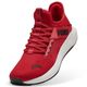 SOFTRIDE ENZO 5 EASE IN [ PUMA / �ס��� ] PUMA-312581