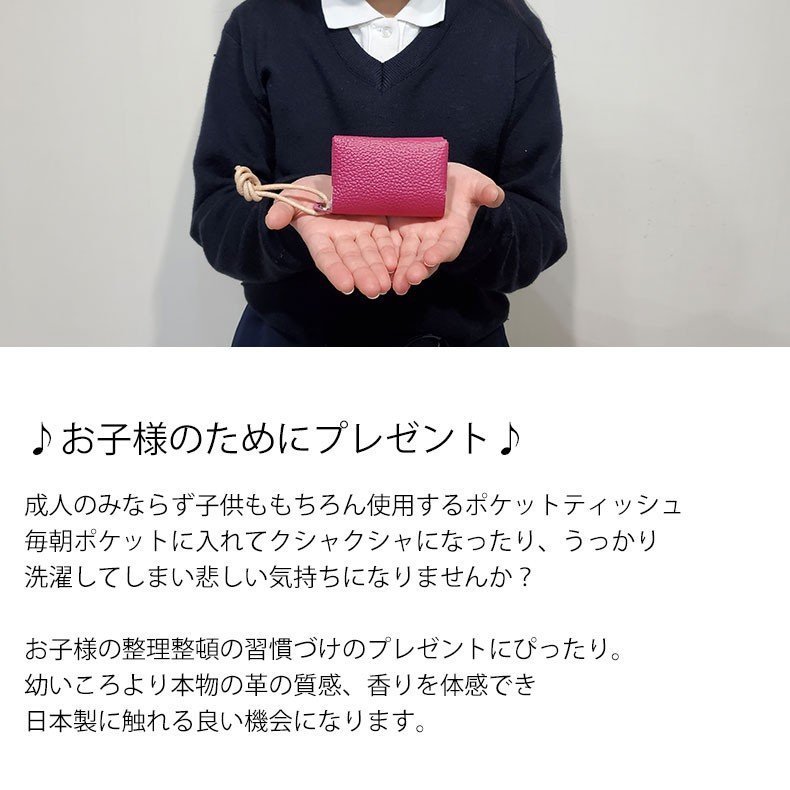 ���������Բ� 14�������ȯ�� �ݥ��åȥƥ��å��奱���� [ STGD-16 ] luminio / ��ߥˡ���