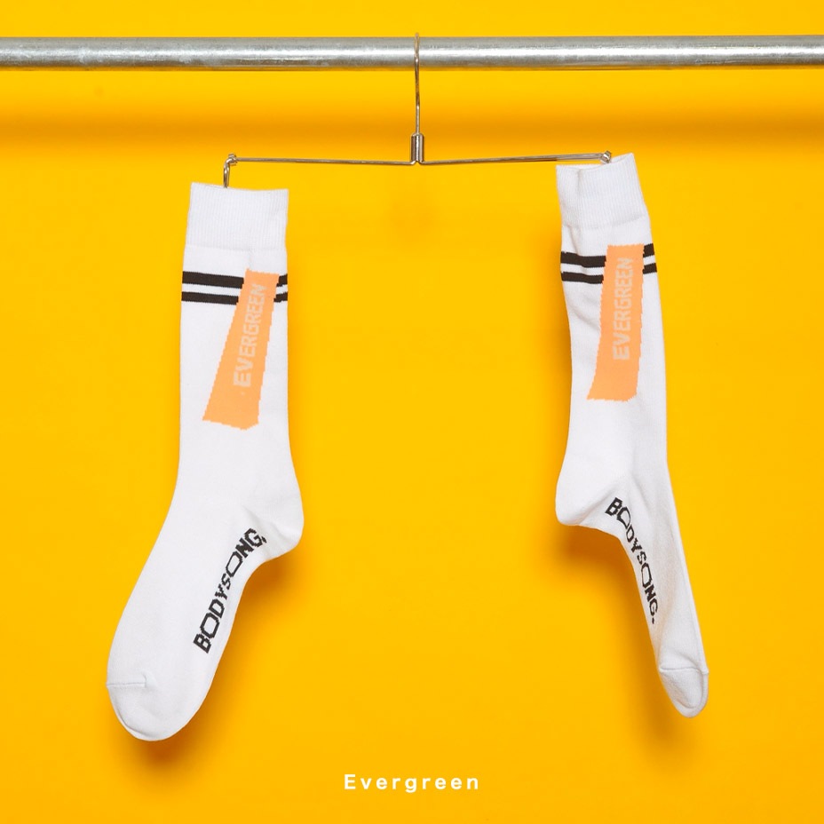SOCKS! [ BS999999 ] BODYSONG / �ܥǥ�����