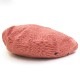 �٥졼˹ [ 611CO ] CPH / �����ԡ�������