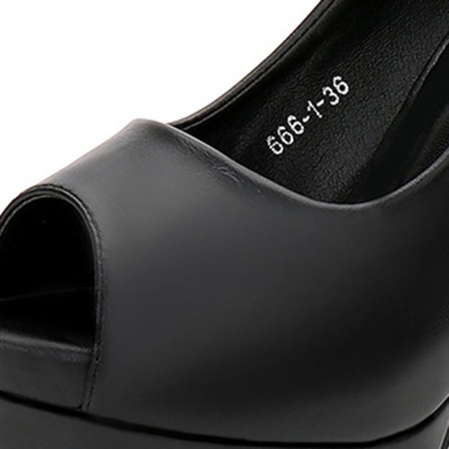 ���쥪���ץ�ȥ��ѥ�ץ� �ϥ��ҡ��� [ BSPT003-7 ]