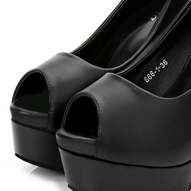 ���쥪���ץ�ȥ��ѥ�ץ� �ϥ��ҡ��� [ BSPT003-7 ]