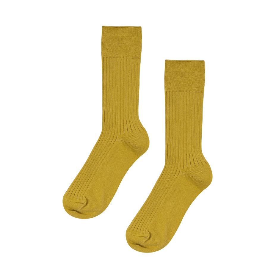 Basic Mood Socks [ I Hate Monday / �����إ��ȥޥ�ǡ� ] BYC-IHM26SS40