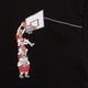 �ۿ�®���롼���ե��å�S/STEE��DUNK�� [ Duckster / ���å������� ] SNK-950203