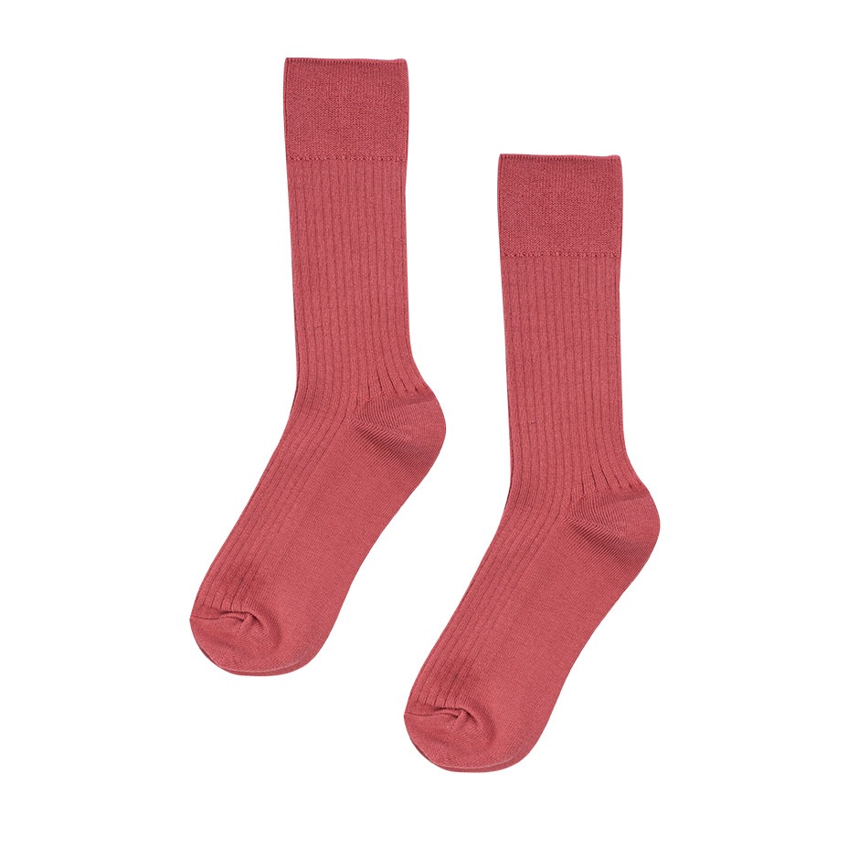 Basic Mood Socks [ I Hate Monday / �����إ��ȥޥ�ǡ� ] BYC-IHM26SS41