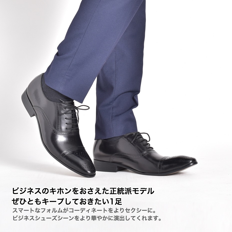 �쥶�� ����ꥪ���Ⱪ�����ȥ졼�ȥ��åץɥ쥹���塼�� [ LLT79-1 ] LUCIUS / �륷����