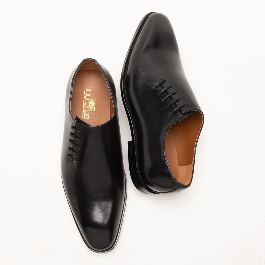 �����ɥ졼�����åץ��塼�� [ LLT329-1 ] LUCIUS / �륷����