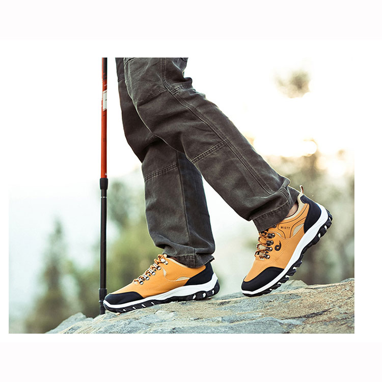 �ȥ�å��󥰥��塼��  [ ALPT-J09 ] 