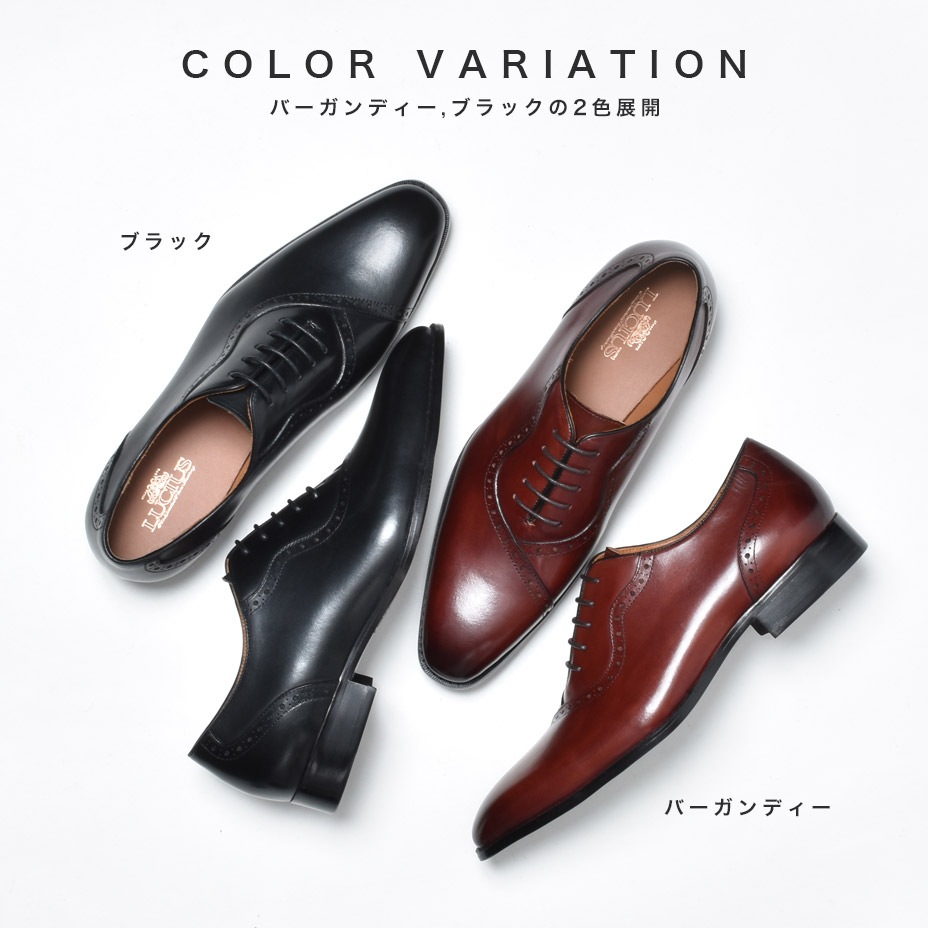 �֥����� �쥶�� �ӥ��ͥ����塼�� [ LLT327-1 ]  LUCIUS / �륷����