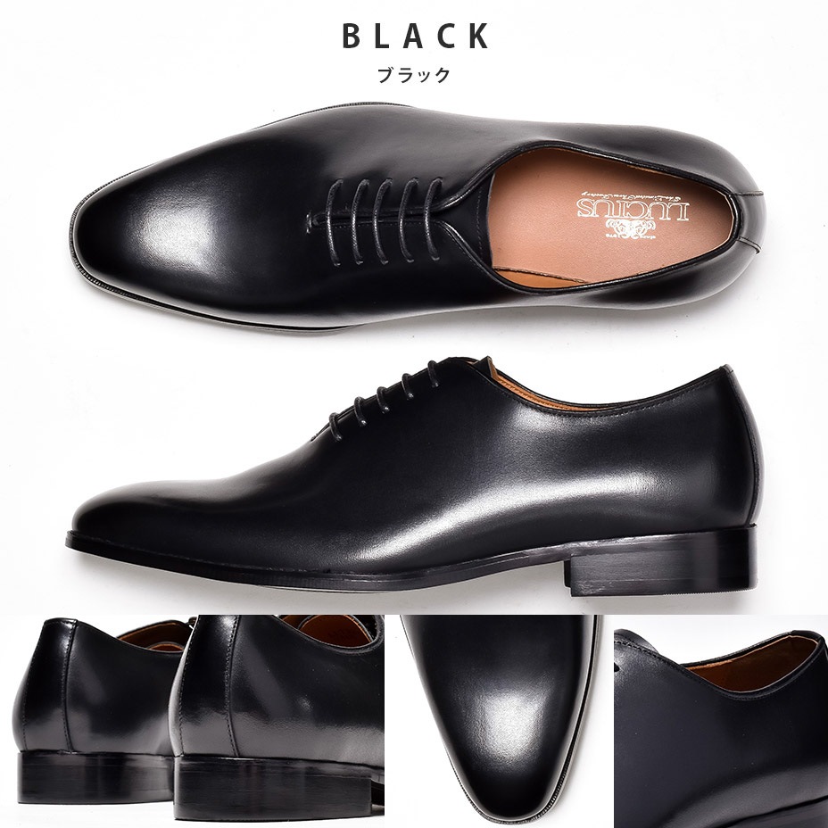 �ۡ��륫�å� �쥶�� �ӥ��ͥ����塼�� [ LLT327-2 ]  LUCIUS / �륷����