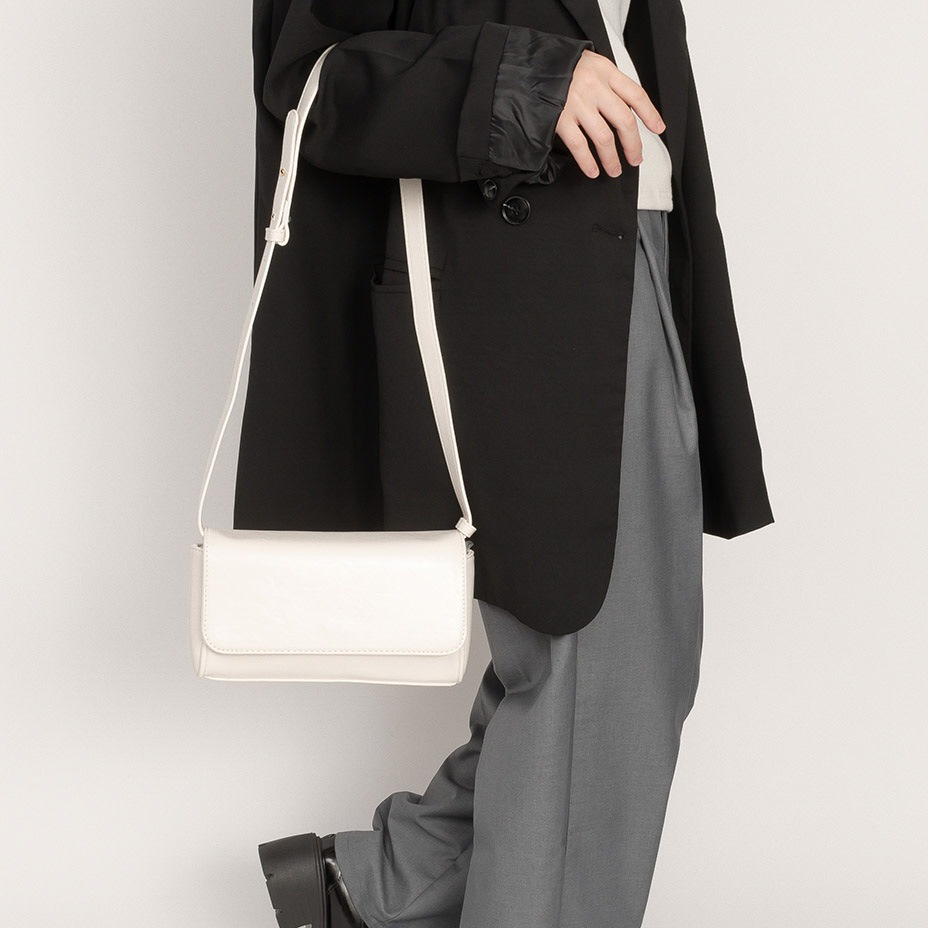 �٥�ȥ��ȥ�å� ���������Хå� [ ZPG-0006 ]