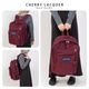 BIG STUDENT / �ӥå������塼�ǥ�� [ JANSPORT / ����󥹥ݡ��� ] JS0A47JK