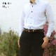 ���������Բ� 14�������ȯ�� �쥶�� �٥�� [ STLBE88-1 ] luminio / ��ߥˡ���