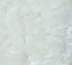 C-2���ۥ磻��