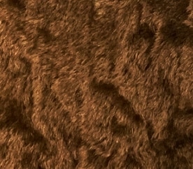 C-16���֥饦��