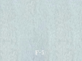 F-5���ۥ磻��