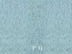 F-11��������