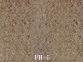 FH-5����������