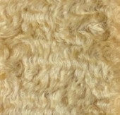 H-8���������