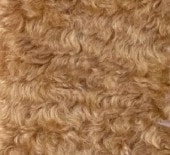 H-9���饹�ƥ����١�����