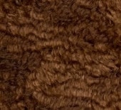 H-12���֥饦��