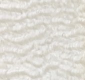 HS-1���ۥ磻��