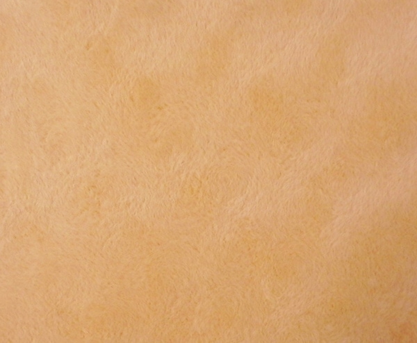 BP-8�������