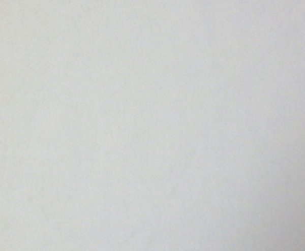 WS-1���ۥ磻��