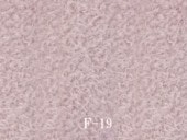 F-19åɥ
