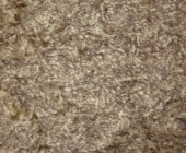 DT-2���֥���ɥ��å�