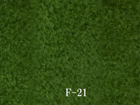 F-21�����꡼��