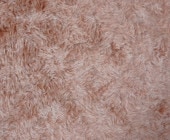 DT-10����󥬥��å�